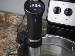 Anova Precision Cooker Review