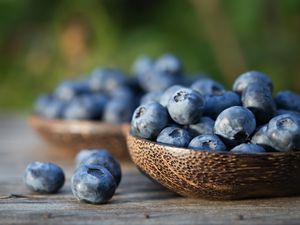 Two bowls of fresh blueberries