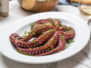 Cooked octopus on a plate