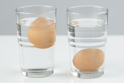 Testing eggs freshness in water