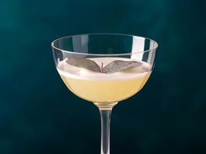 Eucalyptus Martini in a glass, garnished with a floating eucalyptus leaf