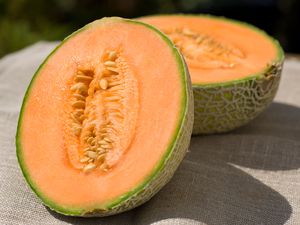 Canteloupe melon