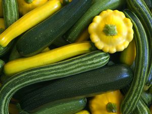 Mixed summer squashes (cucurbita)