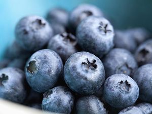 A close-up of a pile of blueberries