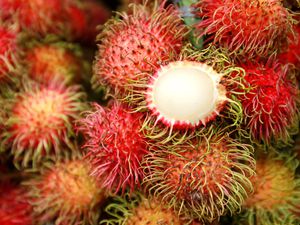 Rambutan