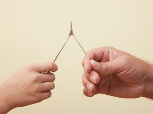 Two people holding a Turkey wishbone. 