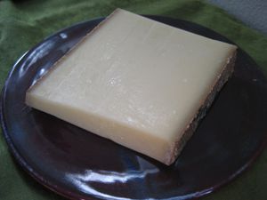 Slice of Alpine cheese (mountain cheese) on a plate