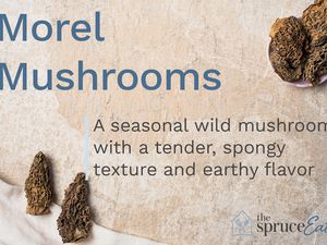 what are morel mushrooms