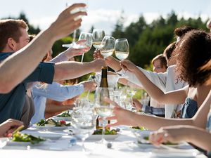 People toasting wine glasses at outdoor dinner party