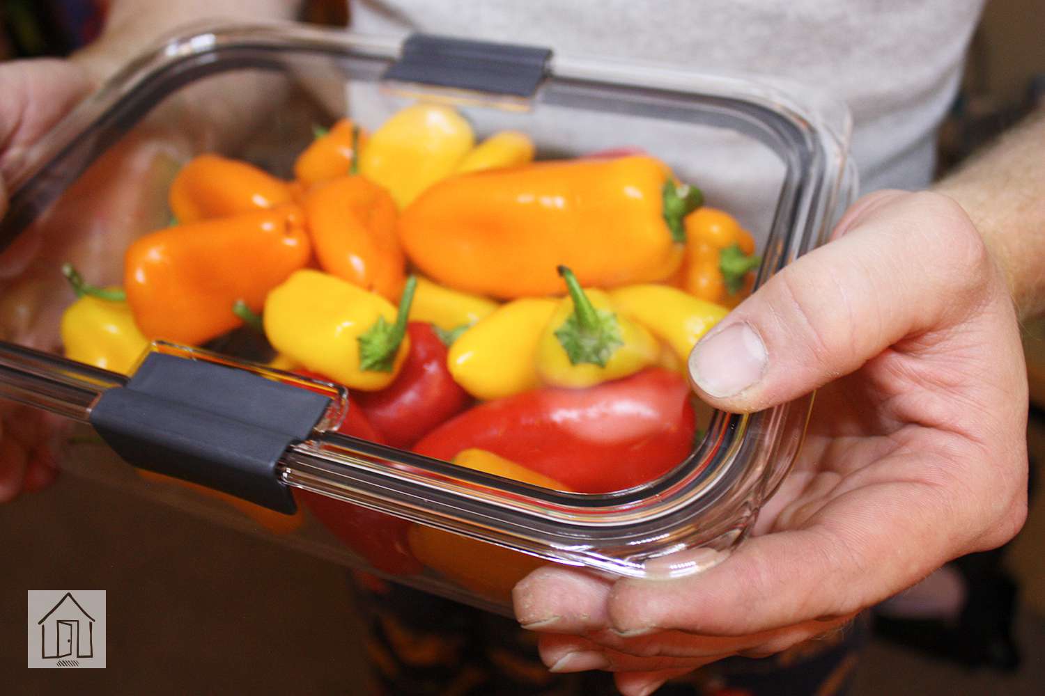 Person holding a Rubbermaid Brilliance Food Storage Container filled with small peppers