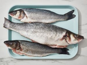 A tray with three whole branzino fish on it