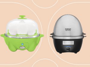 Best Electric Egg Cookers