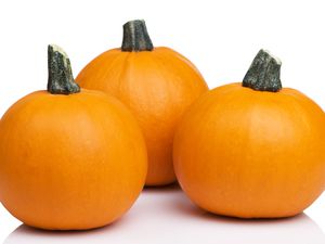 Three sugar pumpkins on a white surface 