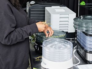 Hands placing herbs into the Elite Gourmet EFD319 Food Dehydrator