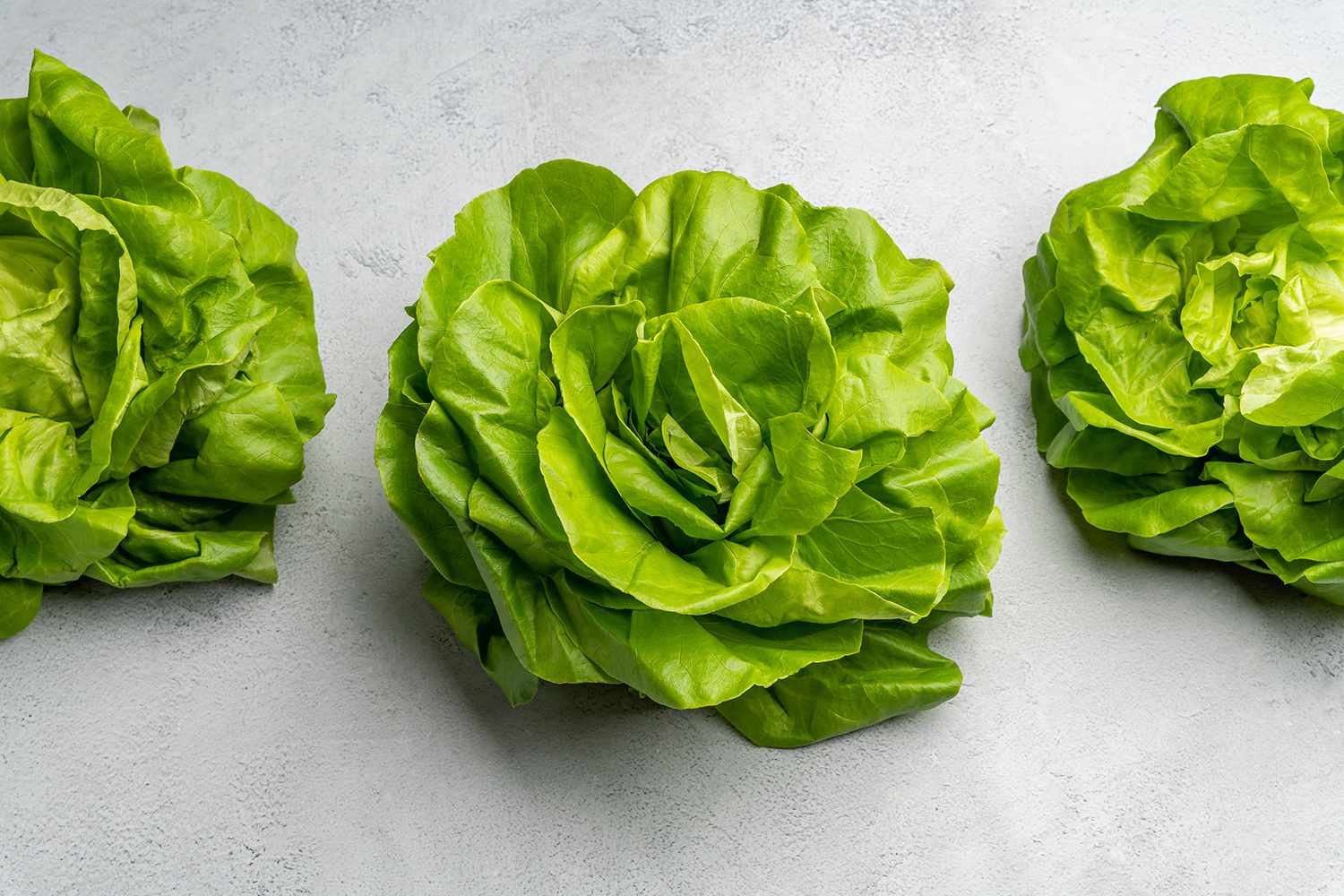 Three bunches of bibb lettuce