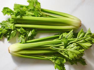 Celery