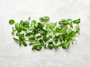 Watercress