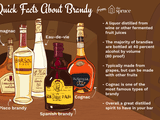 brandy varieties illustration