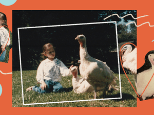 A collage of a young girl with turkeys.