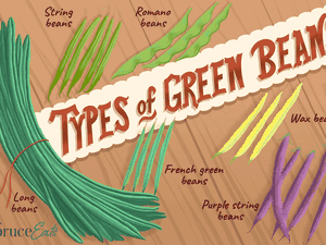 Types of Green Beans