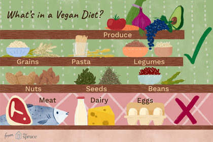 what's in a vegan diet illustration